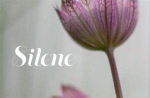 SILENE_booklet_base